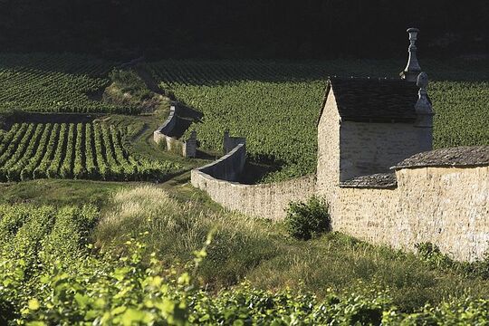Blick auf den Clos St. Jacques