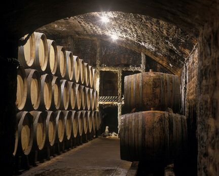 Im Keller der Domaine Mugneret-Gibourg