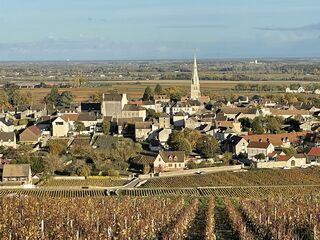 Blick auf Meursault an der Côte de Beaune