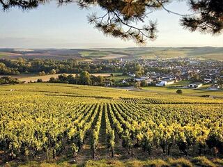 Blick auf Chablis im Norden Burgunds